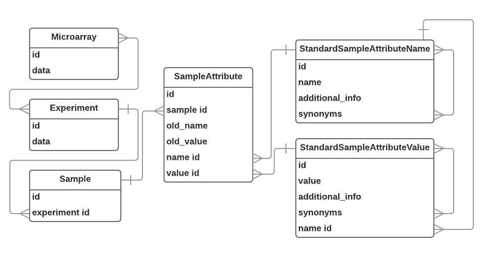 Database Structure